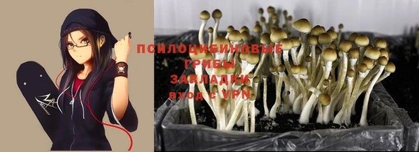 COCAINE Абинск