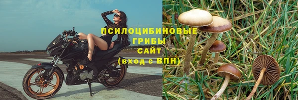 СК Абдулино